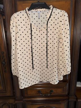 DNA couture Cream Polka Dot Tie-Neck Blouse with Black Accents